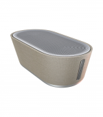 Denon Home 400 Zilver